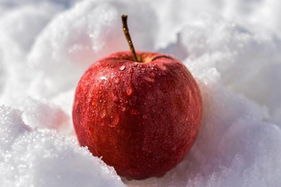 ماذا يحدث لجسمك عند تناول التفاح كل يوم؟