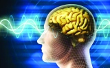 دراسة تكشف خطر ارتجاجات المخ