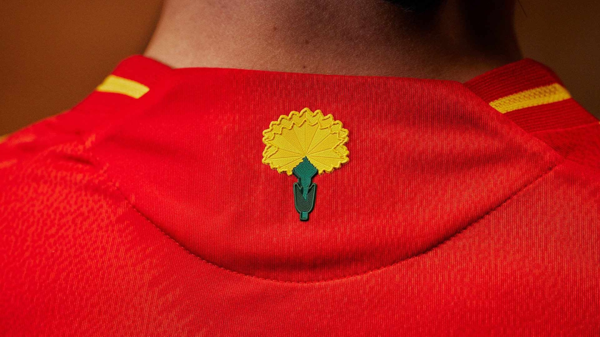 لماذا يحمل قميص إسبانيا في كأس أوروبا زهرة القرنفل...صور ؟
