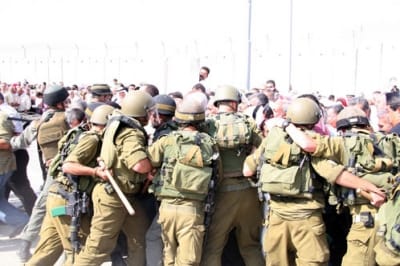 الإحتلال يعتقل 13 فلسطينيا بالضفة الغربية