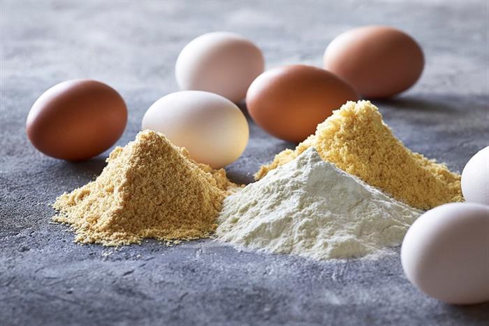 تعرف على فوائد واستخدامات البيض البودرة