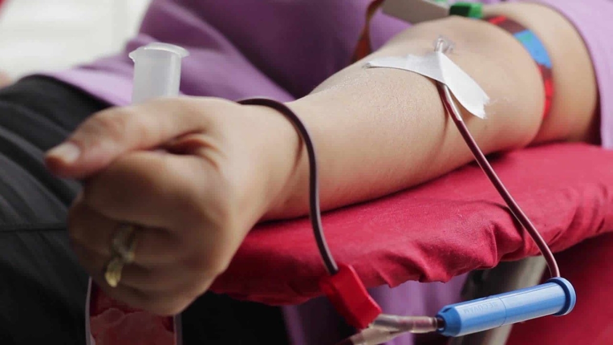 144 ألف متبرع للدم في الأردن العام الماضي