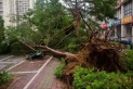 مقتل وإصابة 38 شخصا إثر إعصار قوي في الصين