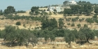 قوات الاحتلال تهدم منزلاً وتجرف أراضي شرق الخليل