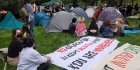 مظاهرات واعتصامات مؤيدة للشعب الفلسطيني وسط فيينا